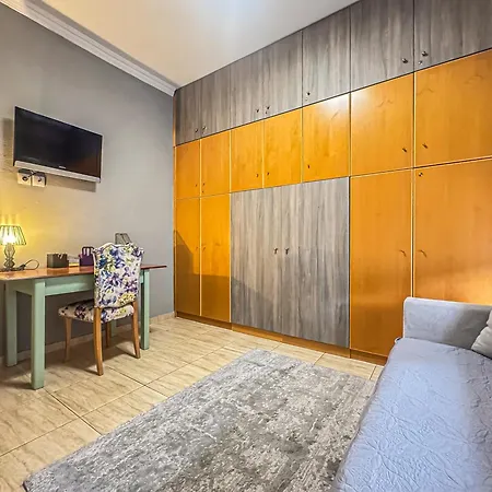 Estrela Comfortable Apartment Volos